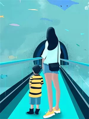 今夏归港小说剧情