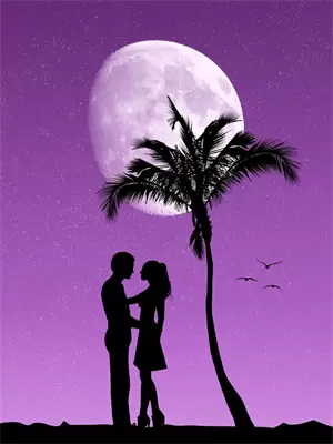 婚礼当天男友被抢婚