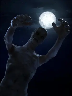 封妃天下夜摇光