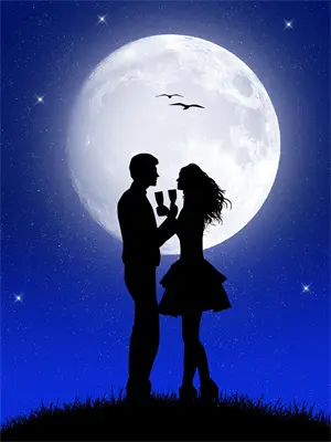 星尘桃之辉酢浆草