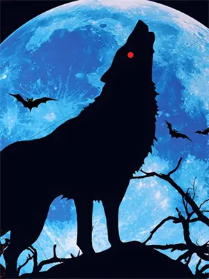 《人间镜影》林野苏晴全文免费在线阅读_《人间镜影》全集阅读