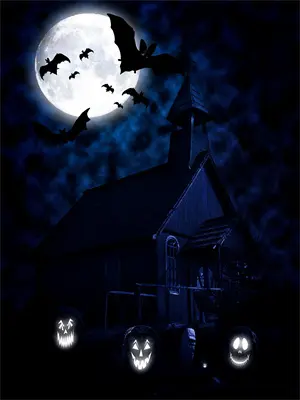 她似烟火美晋江